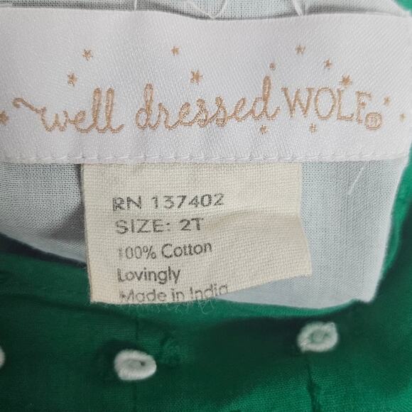 Well Dressed Wolf Green Swiss Dot JuJu A-line Dress, size 2T - Picture 5 of 5